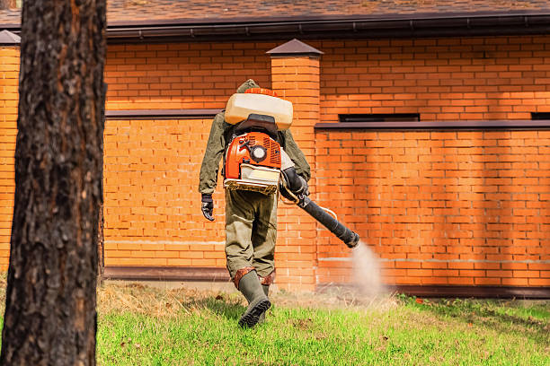 Top rated local Cockroach Control specialists in Odon, IN